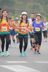 BIB: 16050, 10538
                            <button type="button" onclick="openModal(9893511)" class="btn btn-primary btn-sm float-right btn-popup" data-toggle="modal" data-target=".modal-high-quality">
                        <i class="fas fa-shopping-cart"></i> Add to Cart
                    </button>
                                            <button type="button" onclick="isThisMe(9893511, true)" class="btn btn-success btn-sm float-right btn-popup btn-isme hidden" data-toggle="tooltip" data-placement="bottom" title="นี่คือรูปของคุณใช่ไหม คลิกที่นี่เพื่อเอาเข้าอัลบั้ม">
                        <i class="fas fa-plus"></i> Add to album
                    </button>
                    <button type="button" onclick="isThisMe(9893511, false)" class="btn btn-warning btn-sm float-right btn-popup btn-isnotme hidden">
                        <i class="fas fa-ban"></i> Remove from album
                    </button>